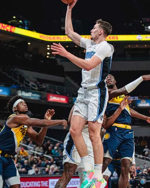 此次津门虎 此次津门虎